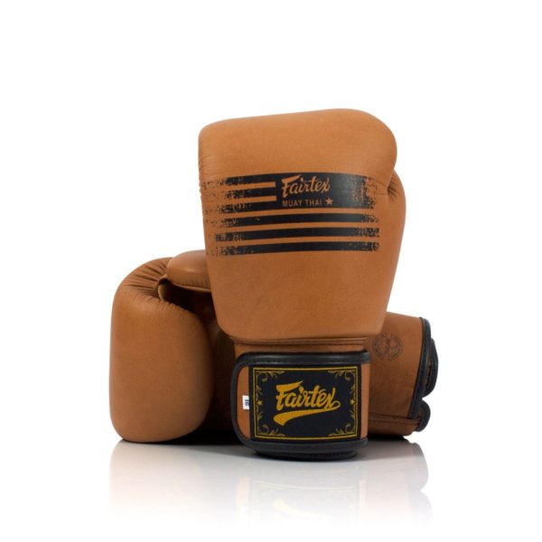 Fairtex BGV21 "Legacy" Boxing Gloves